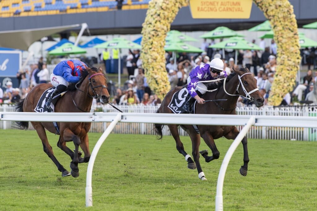 Two horses sprint toward the finish line with jockeys in blue and purple silks, a floral arch and spectators in the background.