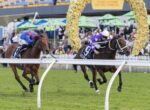 Two horses sprint toward the finish line with jockeys in blue and purple silks, a floral arch and spectators in the background.