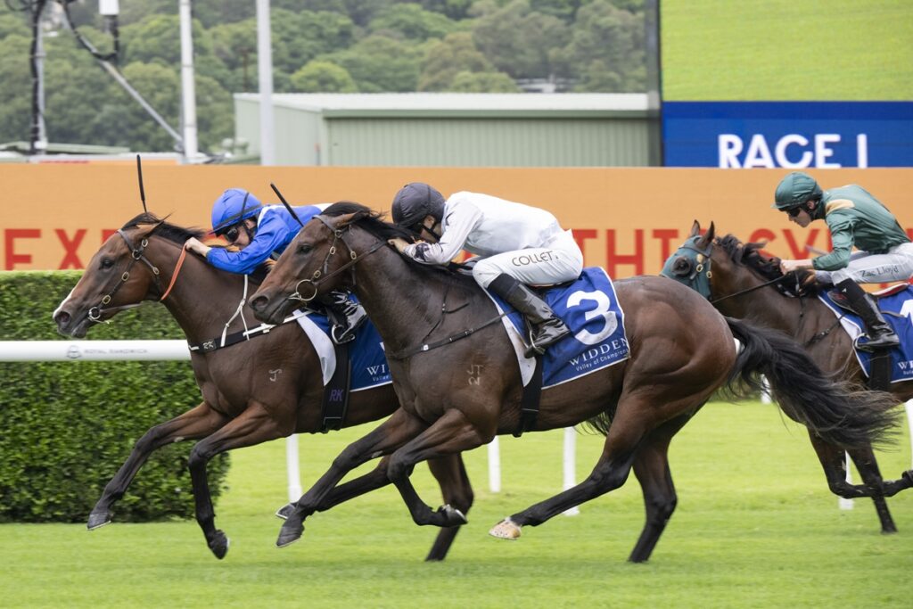 Three jockeys race side by side on galloping horses on a turf track, leaning forward in a photo finish moment with a yellow advertising board in the background.