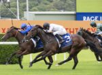 Three jockeys race side by side on galloping horses on a turf track, leaning forward in a photo finish moment with a yellow advertising board in the background.