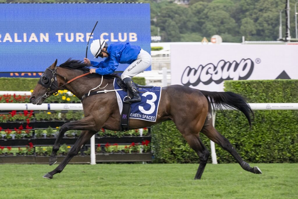 Horse racing scene: jockey in blue silks riding a brown horse with number 3 sash during a race on a grass track in front of sponsor banners