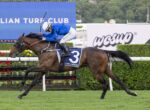 Horse racing scene: jockey in blue silks riding a brown horse with number 3 sash during a race on a grass track in front of sponsor banners