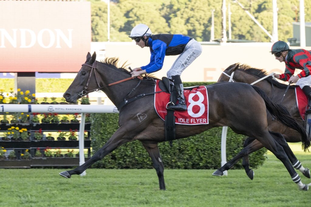 Jockey in blue and white silks rides a dark horse wearing red saddle cloth with the number 8, racing on a grass track at a racecourse.
