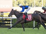 Jockey in blue and white silks rides a dark horse wearing red saddle cloth with the number 8, racing on a grass track at a racecourse.