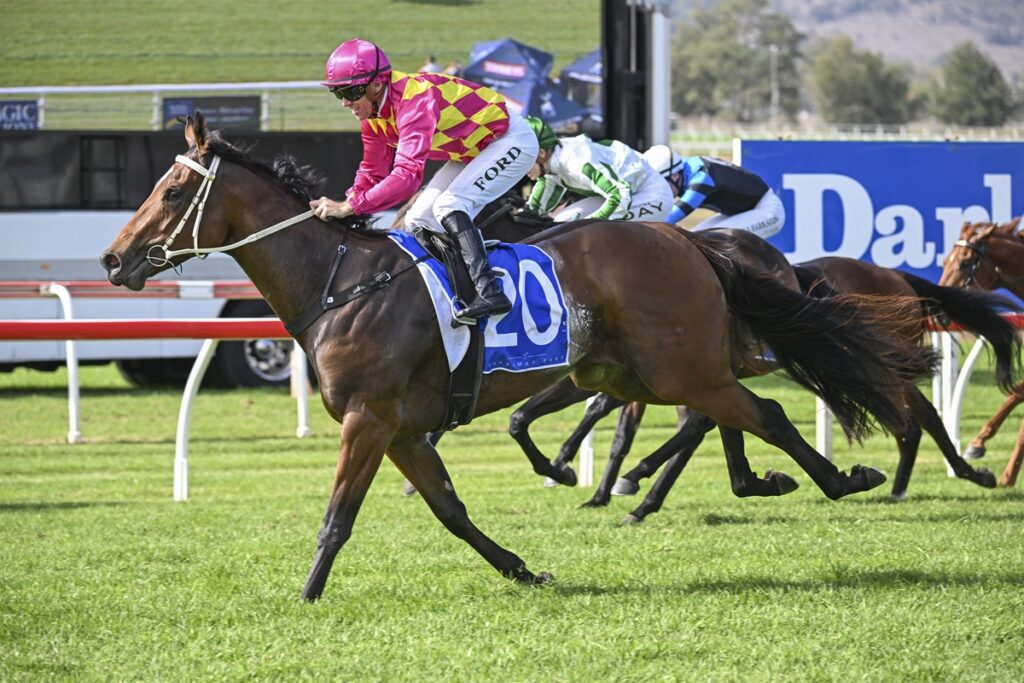 Leading horse and jockey in pink and yellow harlequin silks race on a green turf, saddle cloth number 20 visible in front of the pack.