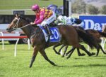 Leading horse and jockey in pink and yellow harlequin silks race on a green turf, saddle cloth number 20 visible in front of the pack.