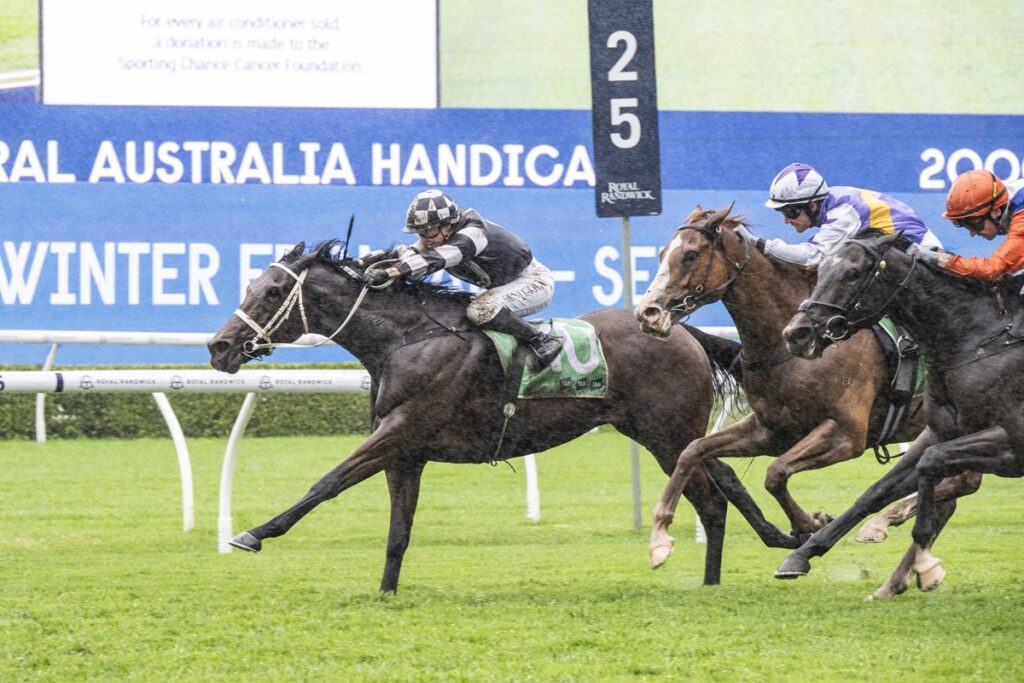 Leading dark-bay racehorse with green saddle cloth crosses the finish line ahead of rivals on a grassy track, jockey in black-and-white silks leaning forward in victory.