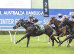 Leading dark-bay racehorse with green saddle cloth crosses the finish line ahead of rivals on a grassy track, jockey in black-and-white silks leaning forward in victory.