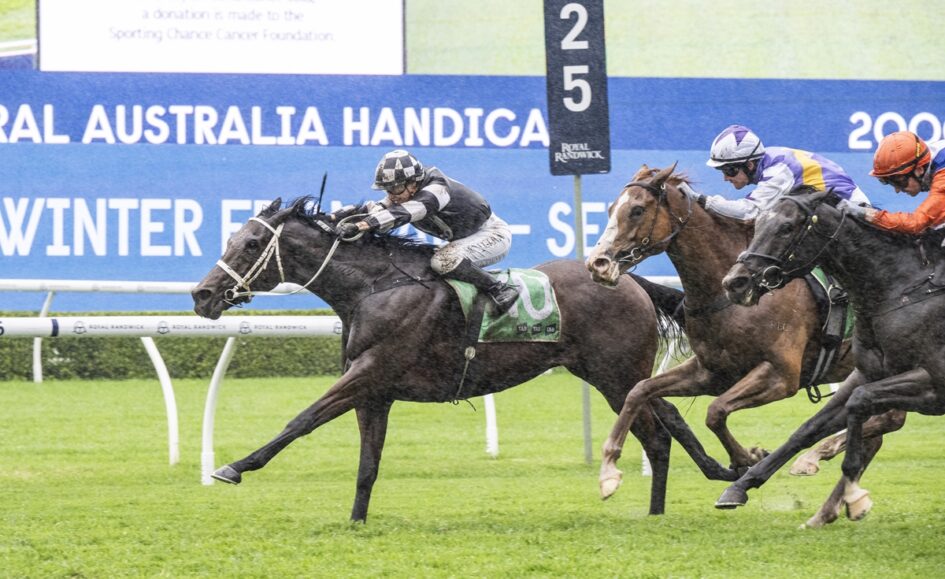 Leading dark-bay racehorse with green saddle cloth crosses the finish line ahead of rivals on a grassy track, jockey in black-and-white silks leaning forward in victory.