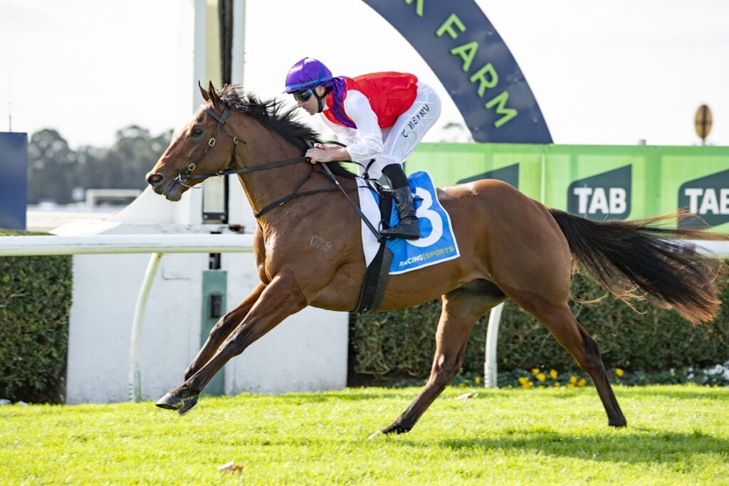Jockey in red vest and purple cap rides a brown horse sprinting on a green racecourse fence in the background