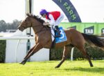 Jockey in red vest and purple cap rides a brown horse sprinting on a green racecourse fence in the background
