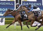 Two jockeys race two brown horses side by side on a grass track with blue signage in the background, crossing the inside rail.