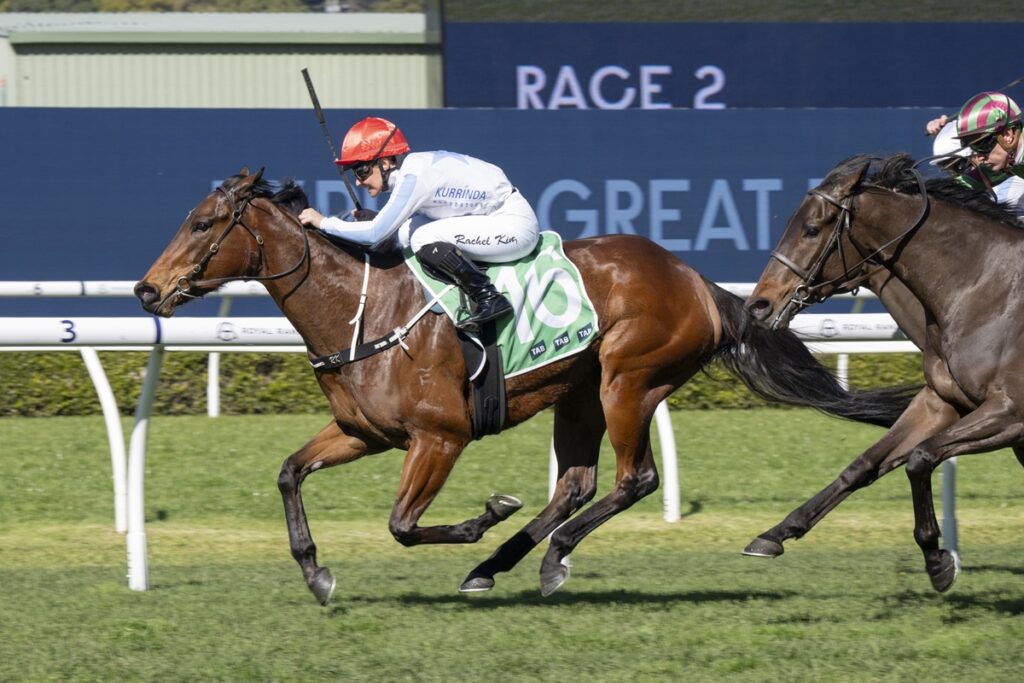 Jockey in a red helmet rides a brown horse with a green number 16 saddlecloth during a race on a grass track.
