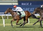 Jockey in a red helmet rides a brown horse with a green number 16 saddlecloth during a race on a grass track.