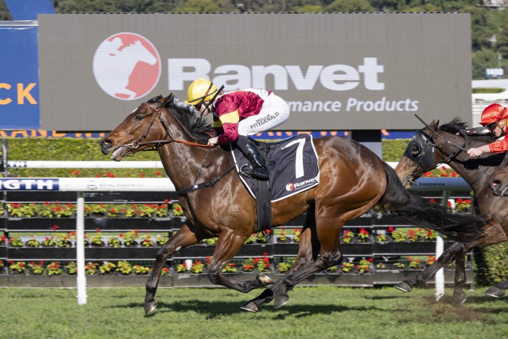 Brown racehorse with jockey in maroon and gold silks, wearing #7 saddlecloth, racing past the infield banners with a Ranvet sign in the background