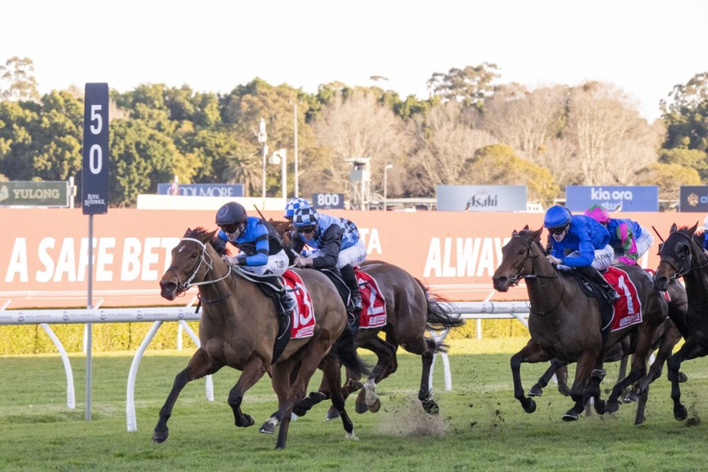 Group of horses and jockeys racing on a green turf track, blue silks and forward-leaning riders in a tight pack.