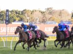 Group of horses and jockeys racing on a green turf track, blue silks and forward-leaning riders in a tight pack.