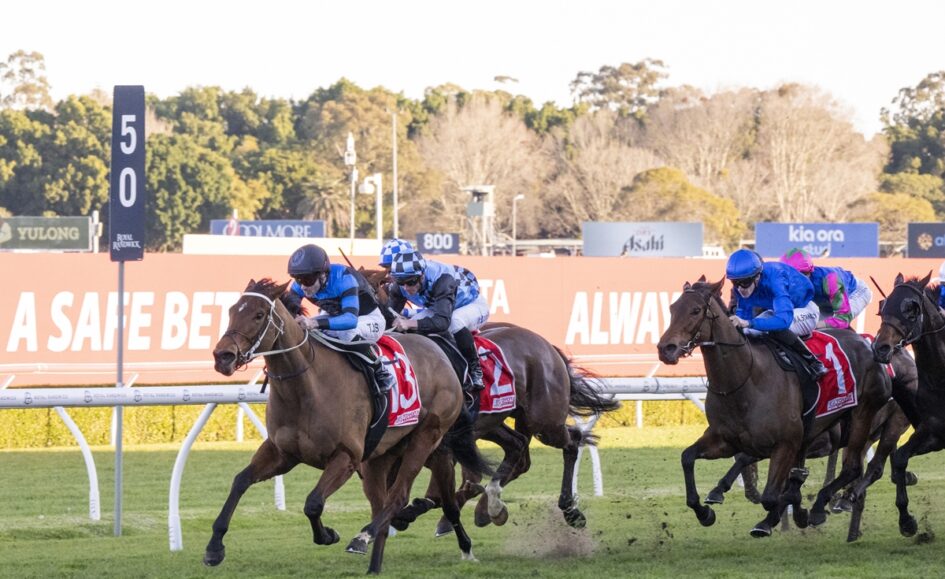 Group of horses and jockeys racing on a green turf track, blue silks and forward-leaning riders in a tight pack.