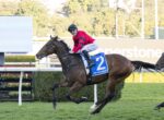 Jockey in a red and black outfit rides a dark horse over a hurdle on a racecourse, blue saddle cloth with number 2 visible.