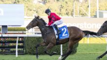 Jockey in a red and black outfit rides a dark horse over a hurdle on a racecourse, blue saddle cloth with number 2 visible.
