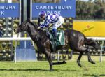 Jockey in purple-and-white diamond silks riding a dark horse mid-gallop at Canterbury Park festival.