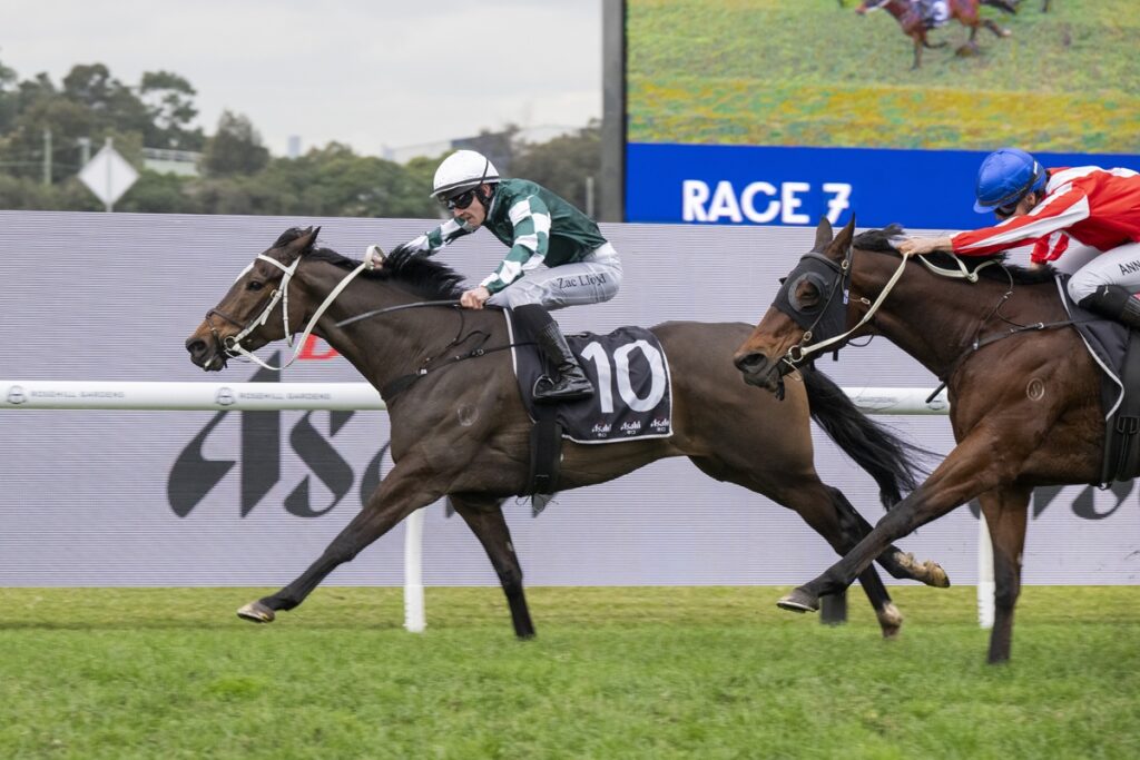 Two jockeys race galloping horses on a turf track; the leading horse wears number 10 while a rival closes in behind.