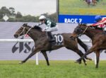 Two jockeys race galloping horses on a turf track; the leading horse wears number 10 while a rival closes in behind.