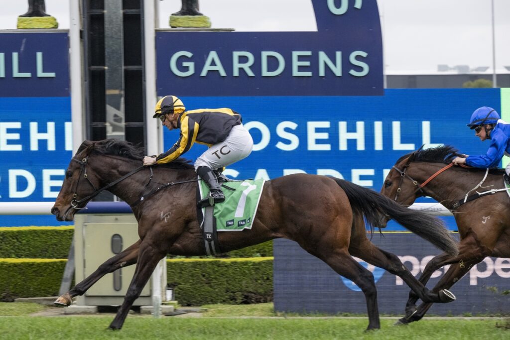 Jockey in yellow and black silks rides a dark brown horse leading a race, with a blue-silks rival close behind on the right; racecourse signage in the background.