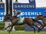 Jockey in yellow and black silks rides a dark brown horse leading a race, with a blue-silks rival close behind on the right; racecourse signage in the background.