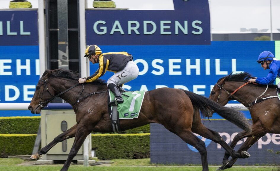 Jockey in yellow and black silks rides a dark brown horse leading a race, with a blue-silks rival close behind on the right; racecourse signage in the background.