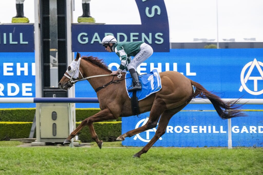 Jockey in green and white silks rides a brown horse mid-jump at Rosehill Gardens racecourse, blue saddle cloth bearing number 1.
