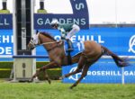 Jockey in green and white silks rides a brown horse mid-jump at Rosehill Gardens racecourse, blue saddle cloth bearing number 1.