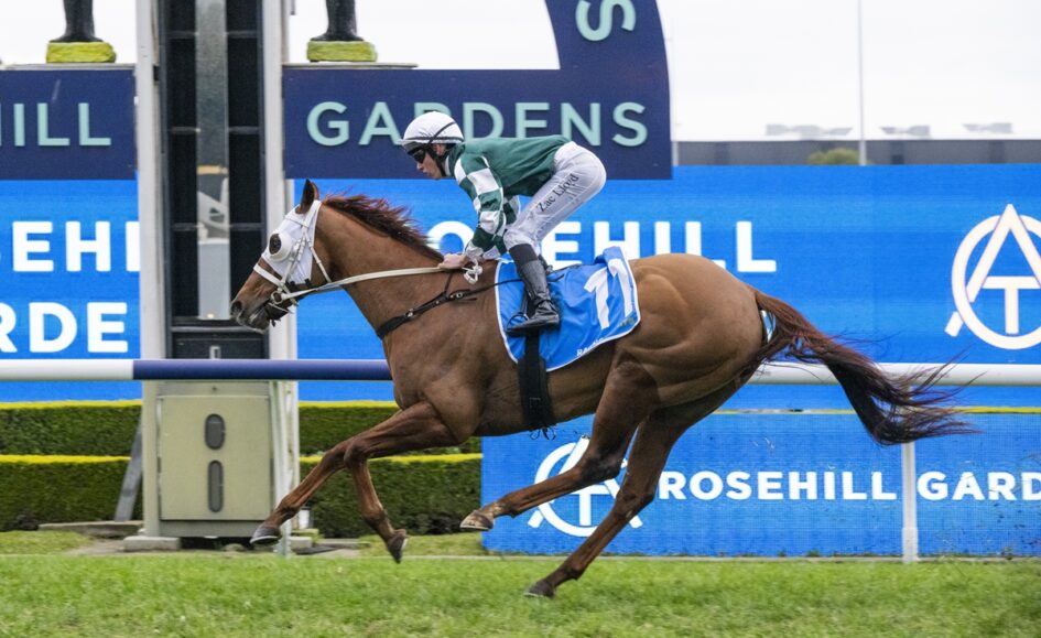 Jockey in green and white silks rides a brown horse mid-jump at Rosehill Gardens racecourse, blue saddle cloth bearing number 1.