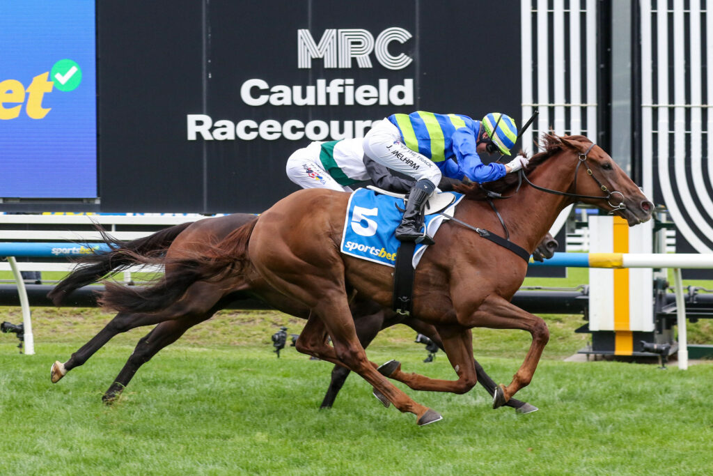 Jockey in blue and yellow silks riding a brown horse during a race at Caulfield Racecourse, with a large sign in the background.