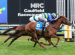 Jockey in blue and yellow silks riding a brown horse during a race at Caulfield Racecourse, with a large sign in the background.