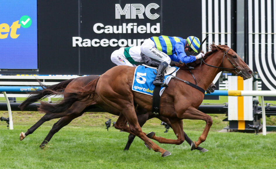 Jockey in blue and yellow silks riding a brown horse during a race at Caulfield Racecourse, with a large sign in the background.