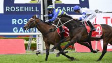 Two jockeys on horses leap over a hurdle during a race at Rosehill Gardens, foregrounding green turf and red barriers.
