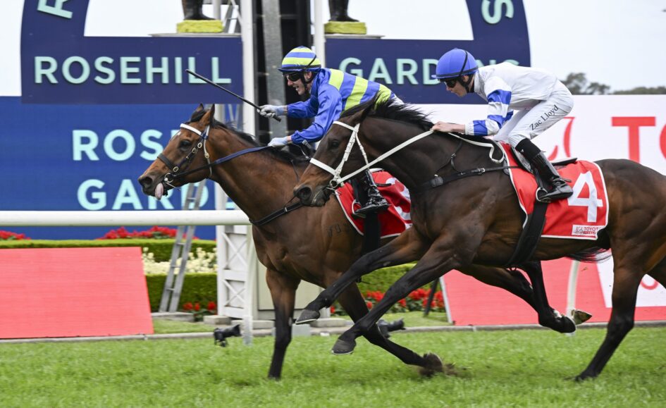 Two jockeys on horses leap over a hurdle during a race at Rosehill Gardens, foregrounding green turf and red barriers.
