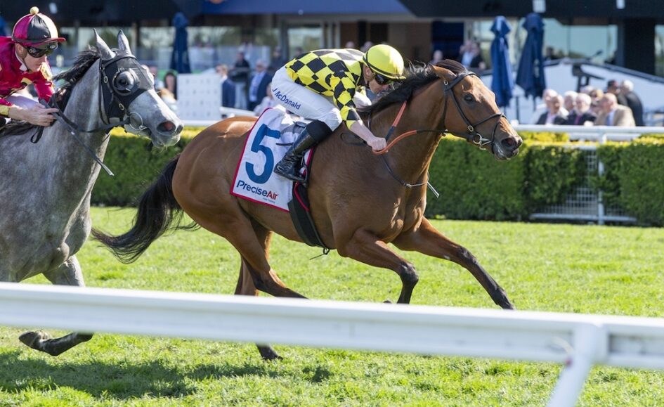 A brown horse leads a race, rider in yellow-and-black checkered silks hunched over the saddlecloth marked 5, with spectators and a trackside fence in the background at a sunny racecourse.