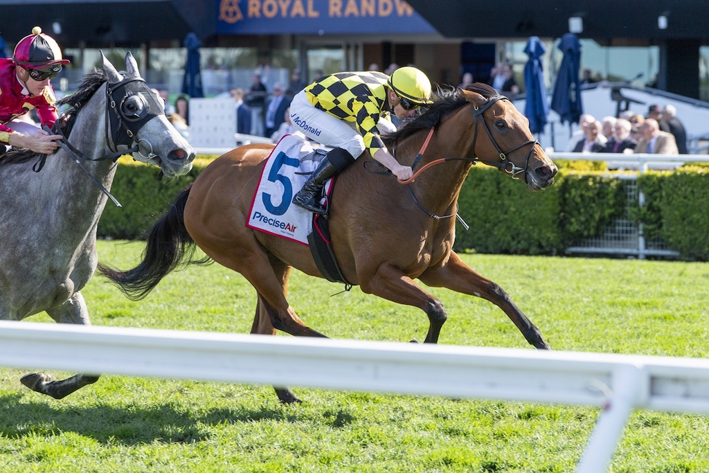 A brown horse leads a race, rider in yellow-and-black checkered silks hunched over the saddlecloth marked 5, with spectators and a trackside fence in the background at a sunny racecourse.