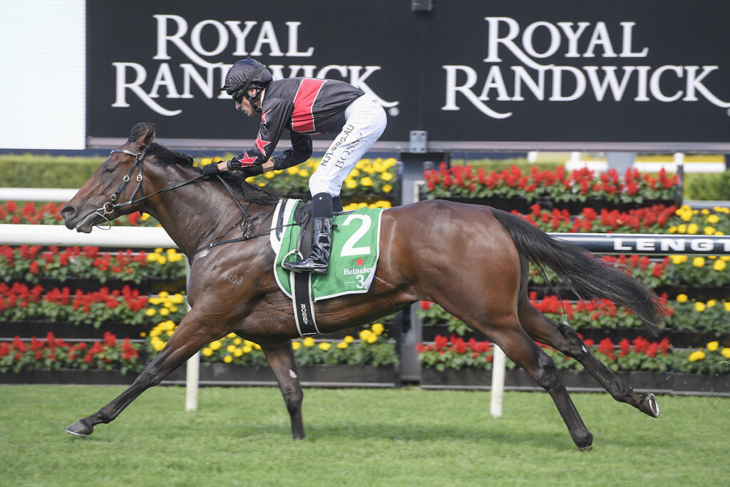 Horse racing scene: jockey in black and red silks riding a brown galloping horse with a green saddle cloth labeled number 2 at a track with flowers in the background (Royal Randwick).