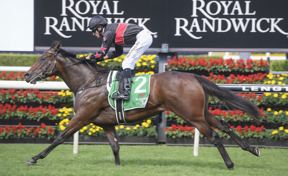 Horse racing scene: jockey in black and red silks riding a brown galloping horse with a green saddle cloth labeled number 2 at a track with flowers in the background (Royal Randwick).