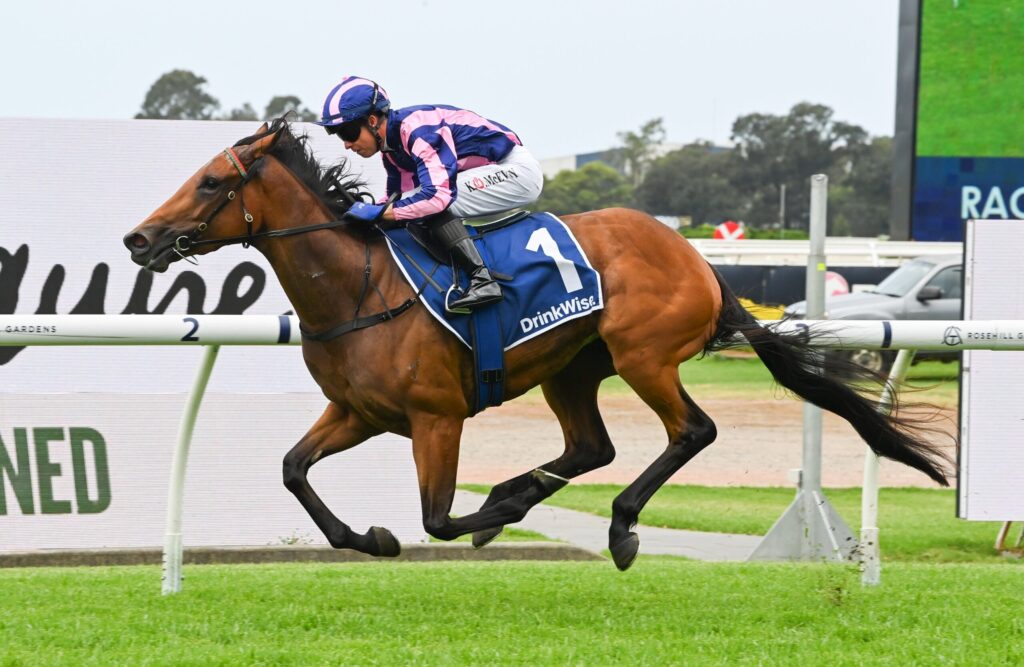 Brown horse and jockey in pink and blue silks leap over a hurdle during a race, on a grassy track