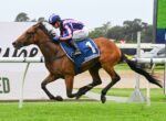 Brown horse and jockey in pink and blue silks leap over a hurdle during a race, on a grassy track