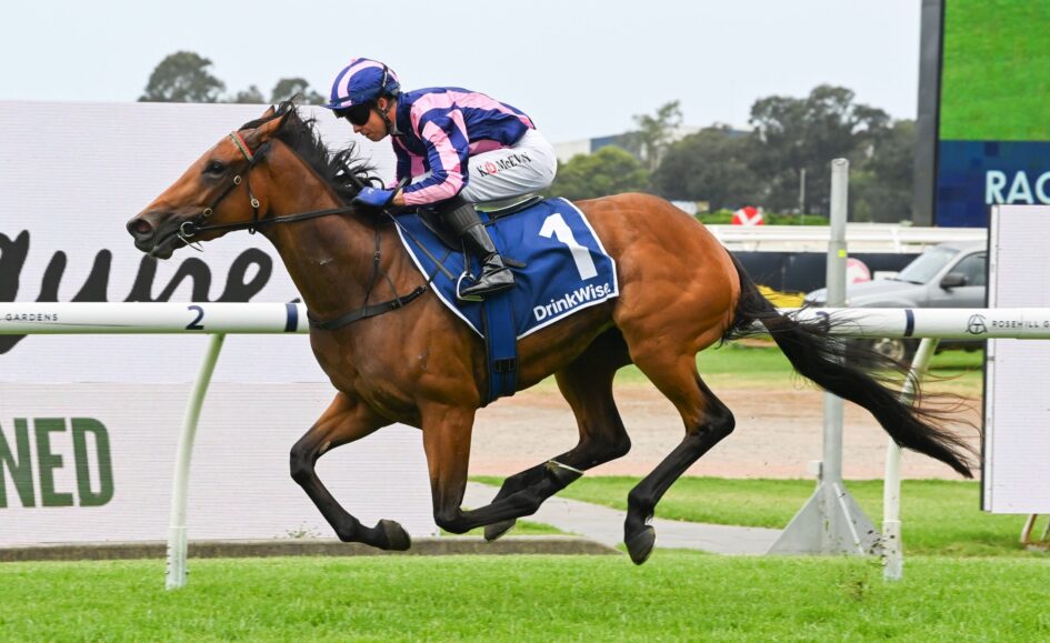 Brown horse and jockey in pink and blue silks leap over a hurdle during a race, on a grassy track
