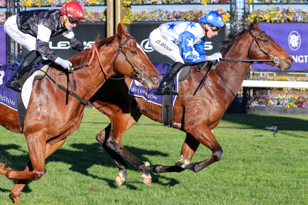 Two jockeys riding galloping horses in a race on a green turf, with colorful flowers in the background.