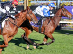 Two jockeys riding galloping horses in a race on a green turf, with colorful flowers in the background.