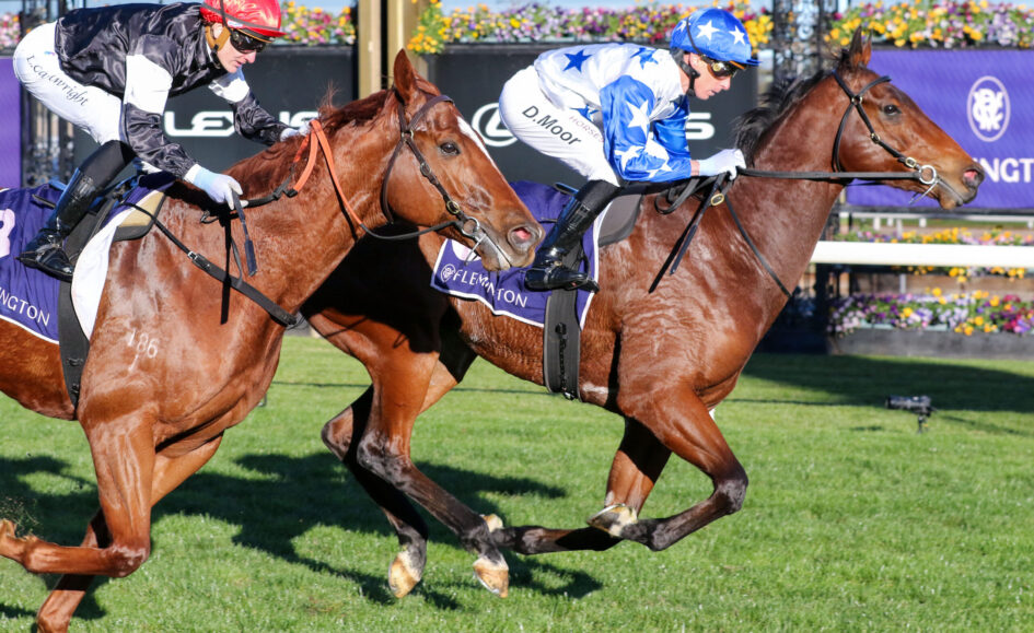 Two jockeys riding galloping horses in a race on a green turf, with colorful flowers in the background.