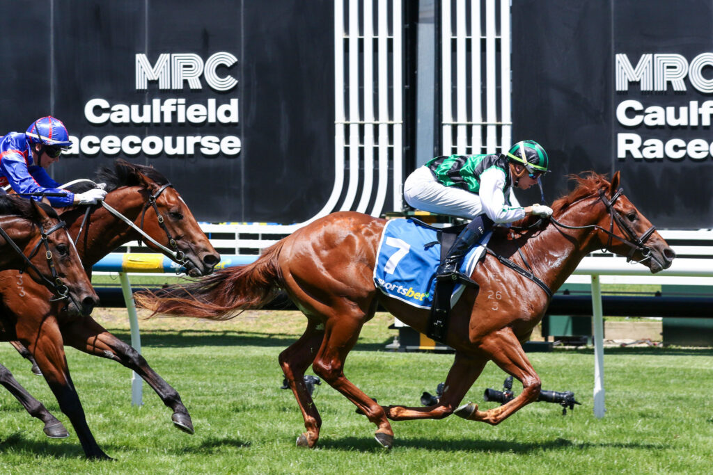 Two jockeys race on thoroughbreds at Caulfield Racecourse, sprinting neck-and-neck on a sunny turf track with the MRC Caulfield signage in the background.