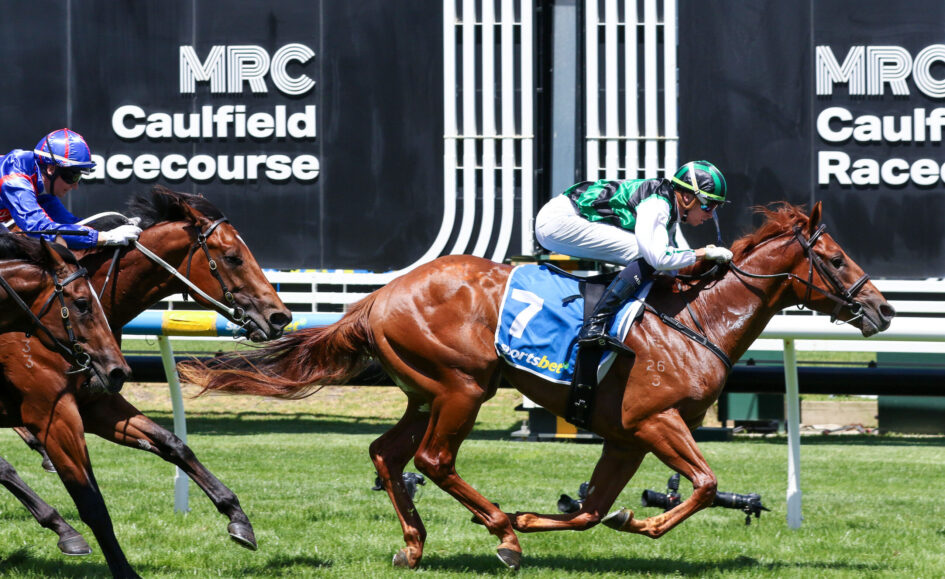 Two jockeys race on thoroughbreds at Caulfield Racecourse, sprinting neck-and-neck on a sunny turf track with the MRC Caulfield signage in the background.